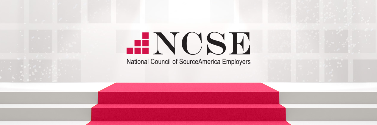 NCSE Awards